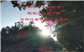 在朝陽、引領未來~鶴壁煤化云平臺智能設備在線監測系統